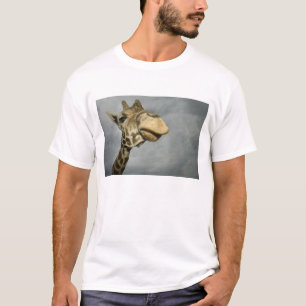 T-shirt États-Unis, Texas, Fossil Rim Wildlife Area, giraf