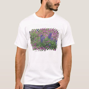 T-shirt États-Unis, Texas Hill Country. Bleuets parmi les 