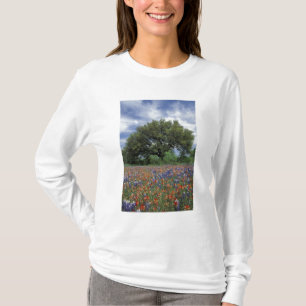 T-shirt États-Unis, Texas, Marble Falls Pinceau et