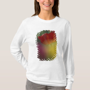 T-shirt États-Unis, Utah, Cache Valley Tulipes dans un jar