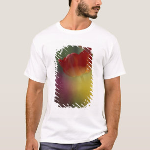 T-shirt États-Unis, Utah, Cache Valley Tulipes dans un jar