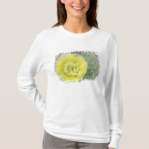 T-shirt États-Unis, Utah, Canyonlands, NP, Figue de Barbar
