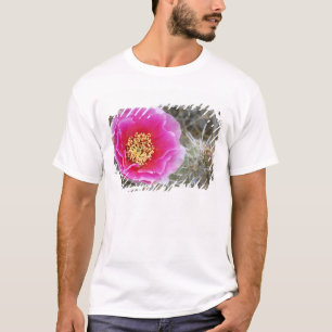 T-shirt États-Unis, Utah, Canyonlands NP, Figue de Barbari