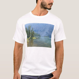 T-shirt États-Unis, Utah, Forêt nationale d'Ashley, High U