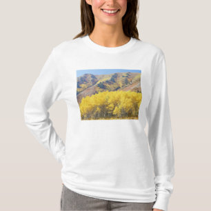 T-shirt États-Unis, Utah, Forêt nationale de Wasatch-Cache