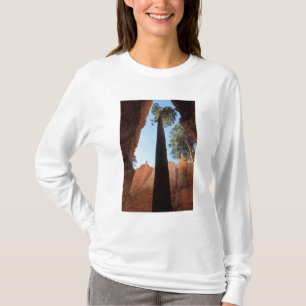 T-shirt États-Unis, Utah, Parc national de Bryce Canyon. H