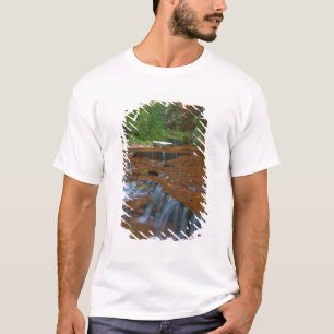 T-shirt États-Unis, Utah, parc national de Zion. Scénique