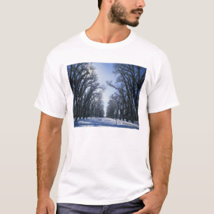 T-shirt États-Unis, Utah, Salt Lake City, Liberty Park,