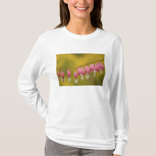 T-shirt États-Unis, Virginie, Arlington, gros plan sur ros