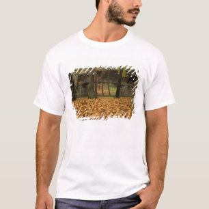 T-shirt États-Unis, Virginie, Covington, Humpback Covered