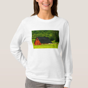 T-shirt États-Unis, Virginie, Parc national de Shenandoah,