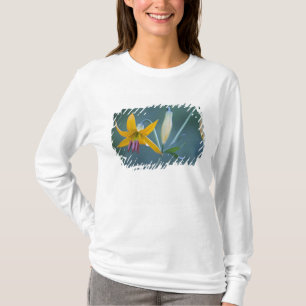 T-shirt États-Unis, WA, Parc national du mont Rainier. Col