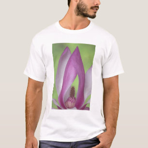 T-shirt États-Unis, Washington. Gros plan de fleur de magn