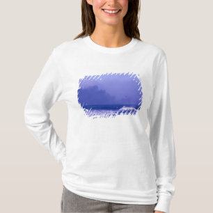T-shirt États-Unis, Washington, Parc national Olympique. B
