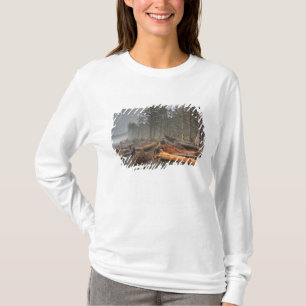 T-shirt États-Unis, Washington, Parc national Olympique, R