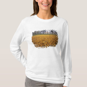 T-shirt États-Unis, Washington, Spokane, Manito Park, Auto