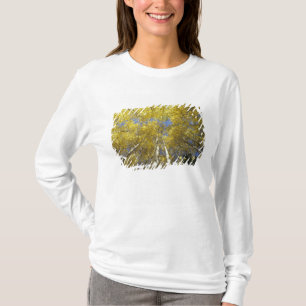 T-shirt États-Unis, Washington, Stevens Pass Tremble en co