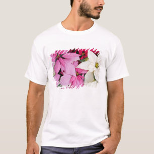 T-shirt États-Unis, Washington, Woodinville, Molbak's Nurs