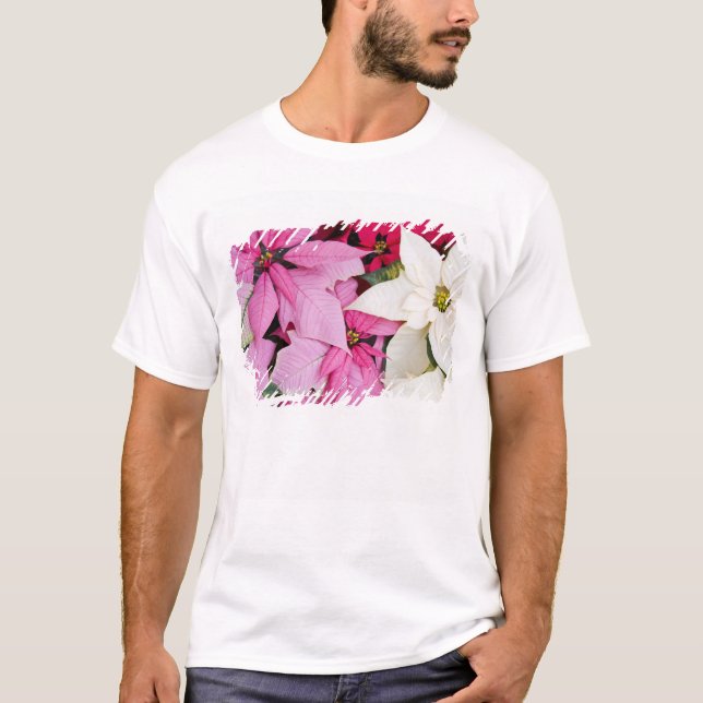 T-shirt États-Unis, Washington, Woodinville, Molbak's Nurs (Devant)