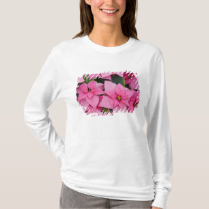 T-shirt États-Unis, Washington, Woodinville, Molbak's Nurs