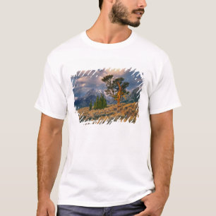 T-shirt États-Unis, Wyoming, Grand Teton NP. Le lever du s