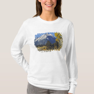 T-shirt États-Unis, Wyoming, Grand Teton NP. Teton Parkway