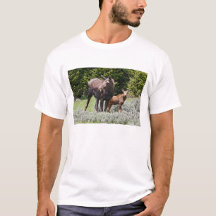 T-shirt États-Unis, Wyoming, montagnes Bighorn, élan Alces