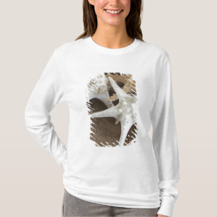 T-shirt Étoiles de mer dans un panier