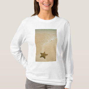 T-shirt Étoiles de mer sur une plage de sable, Gibbs Cay L