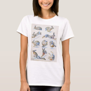 T-shirt Études sur le lièvre sauvage (lapin), Bruno Liljef