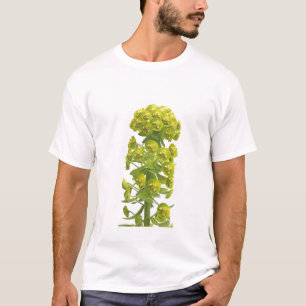 T-shirt Euphorbe