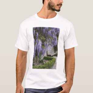 T-shirt Europe, Autriche, Salzburg Stadt, Salzbourg,