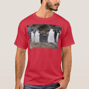T-shirt Exercice d'aérobic Chinstrap Penguins