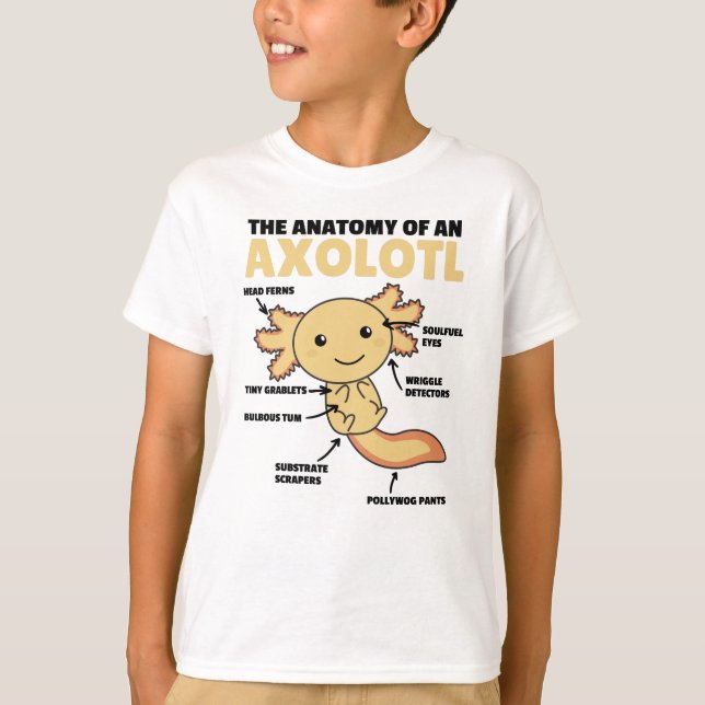 T-shirt Explication Axolotl Anatomie D'Un Axolotl (Devant)