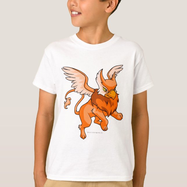 T-shirt Eyrie Orange (Devant)