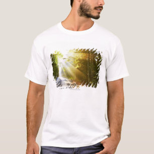 T-shirt Faisceaux de Sun par la forêt en parc national