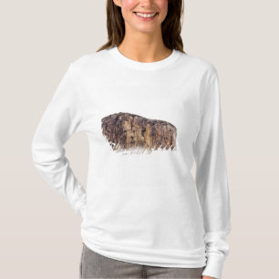 T-shirt Falaise pure se levant au-dessus des nuages