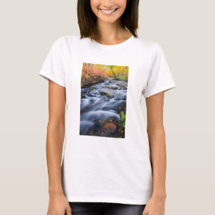 T-shirt Fall along Lundy Creek, California