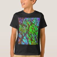 Falln Peacock Ammolite
