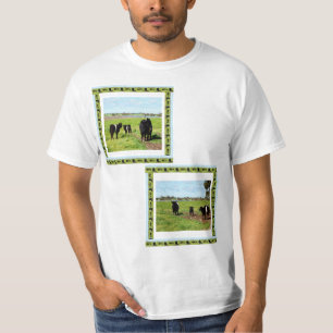 T-shirt Famille de vaches galloway ceinturées,