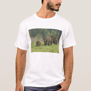 T-shirt Famille des éléphants indiens