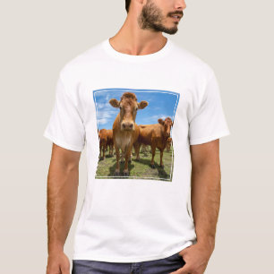 T-shirt Farms   Brown cow