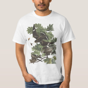 T-shirt Faucon de la nuit d'Audubon