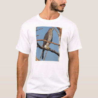 T-shirt Faucon de tonneliers