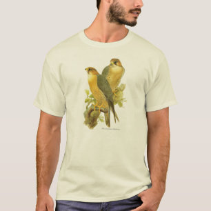 T-shirt Faucon pérégrin (babylonicus de peregrinus de