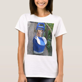 T-shirt Femme Ginger Chat