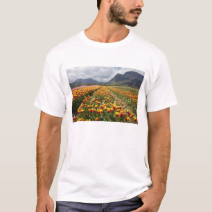 T-shirt Ferme aux tulipes près d'Agassiz, Colombie-Britann