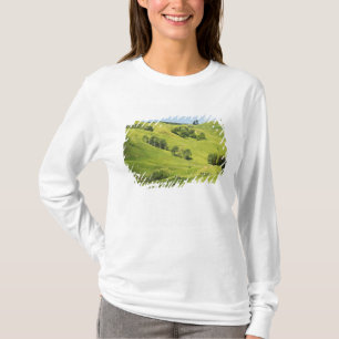 T-shirt Ferme près de Gisborne, Nouvelle-Zélande