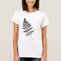 Fern