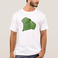 Feuille de lierre